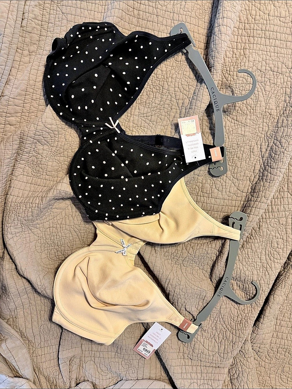 Cotton Cacique Collection Bra Set 40DDD